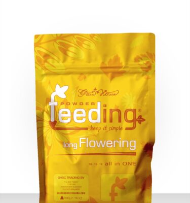 Long Flowering